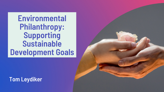 Environmental Philanthropy_ Supporting Sustainable Development Goals